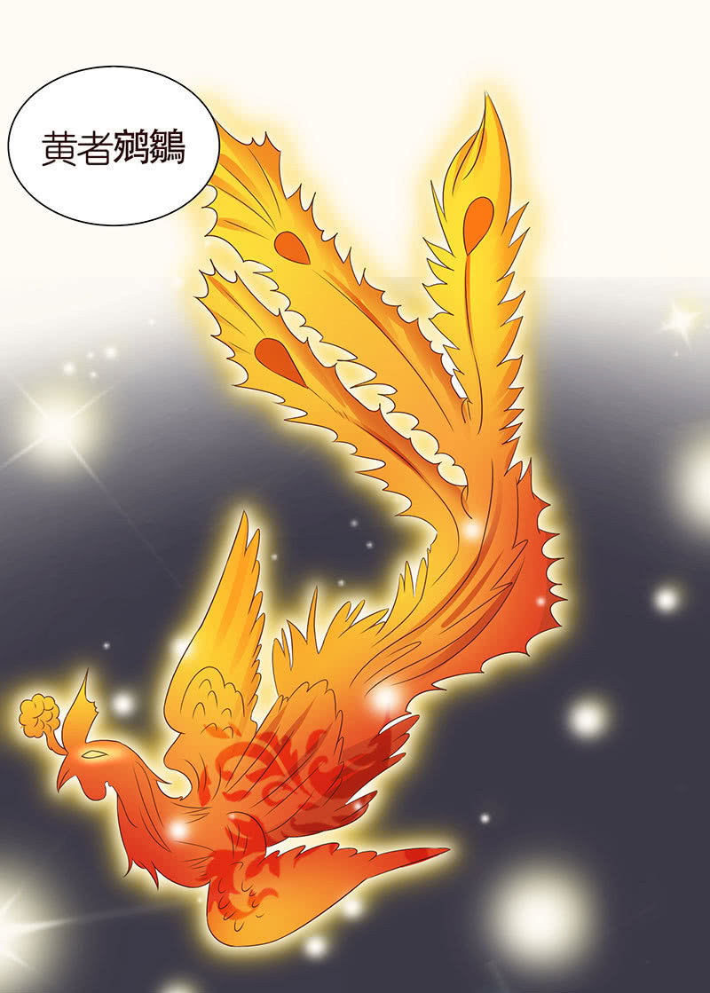 焚身以火(1/2)-第101话