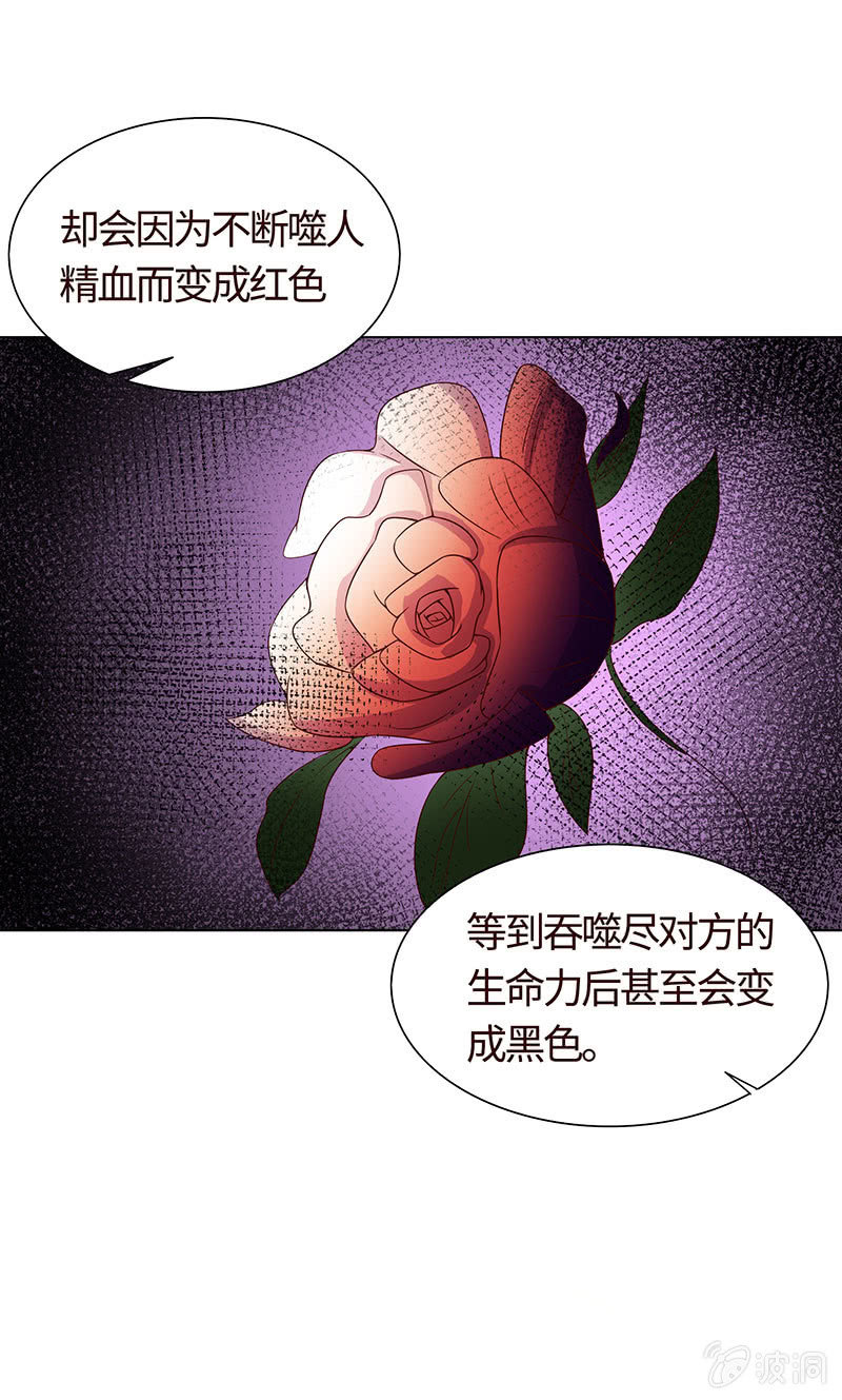 争锋的试探(1/2)-第107话