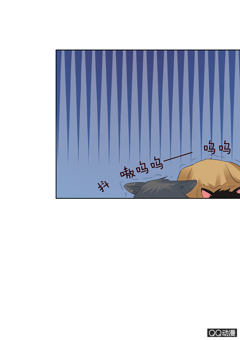 激烈的冲突(1/2)-第13话