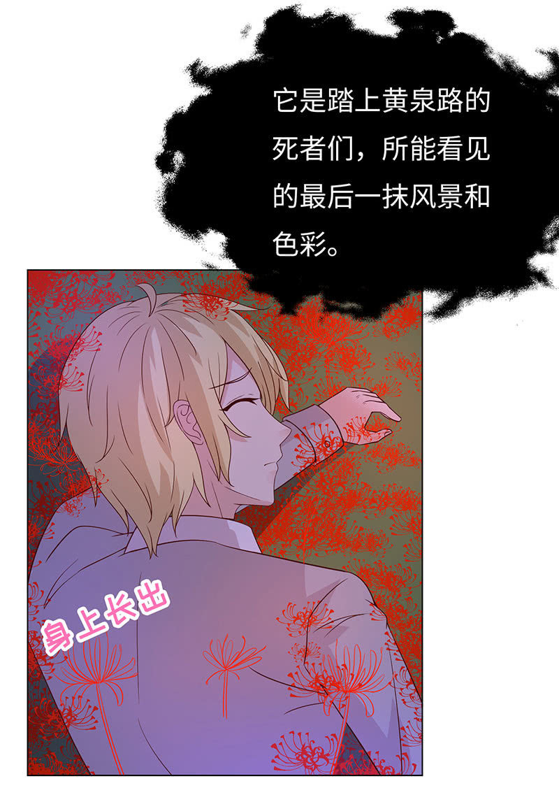 青鸾(1/2)-第135话