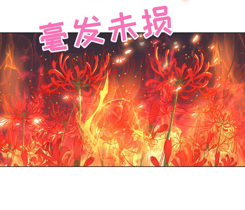 青鸾(1/2)-第135话