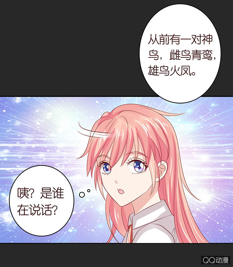 青鸾与火凤(1/2)-第53话