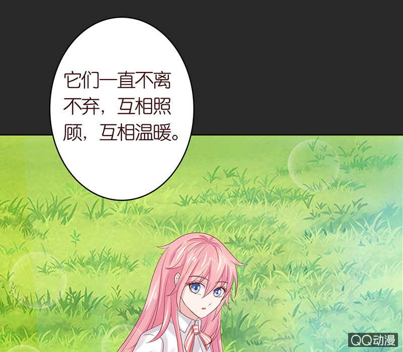 青鸾与火凤(1/2)-第53话