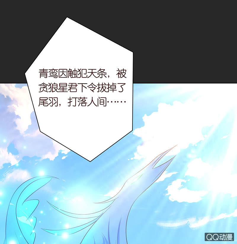 青鸾与火凤(1/2)-第53话