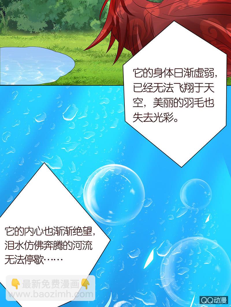 青鸾与火凤(1/2)-第53话