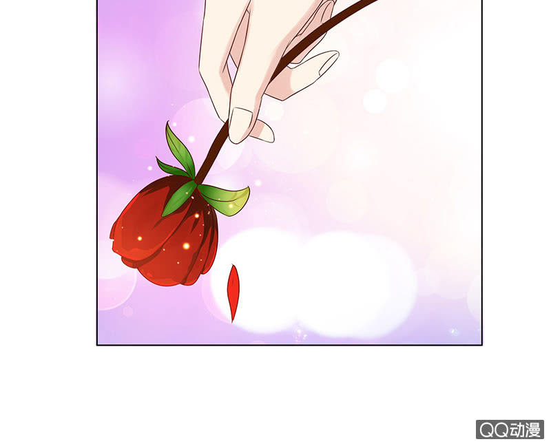 嗜血的玫瑰(1/2)-第65话