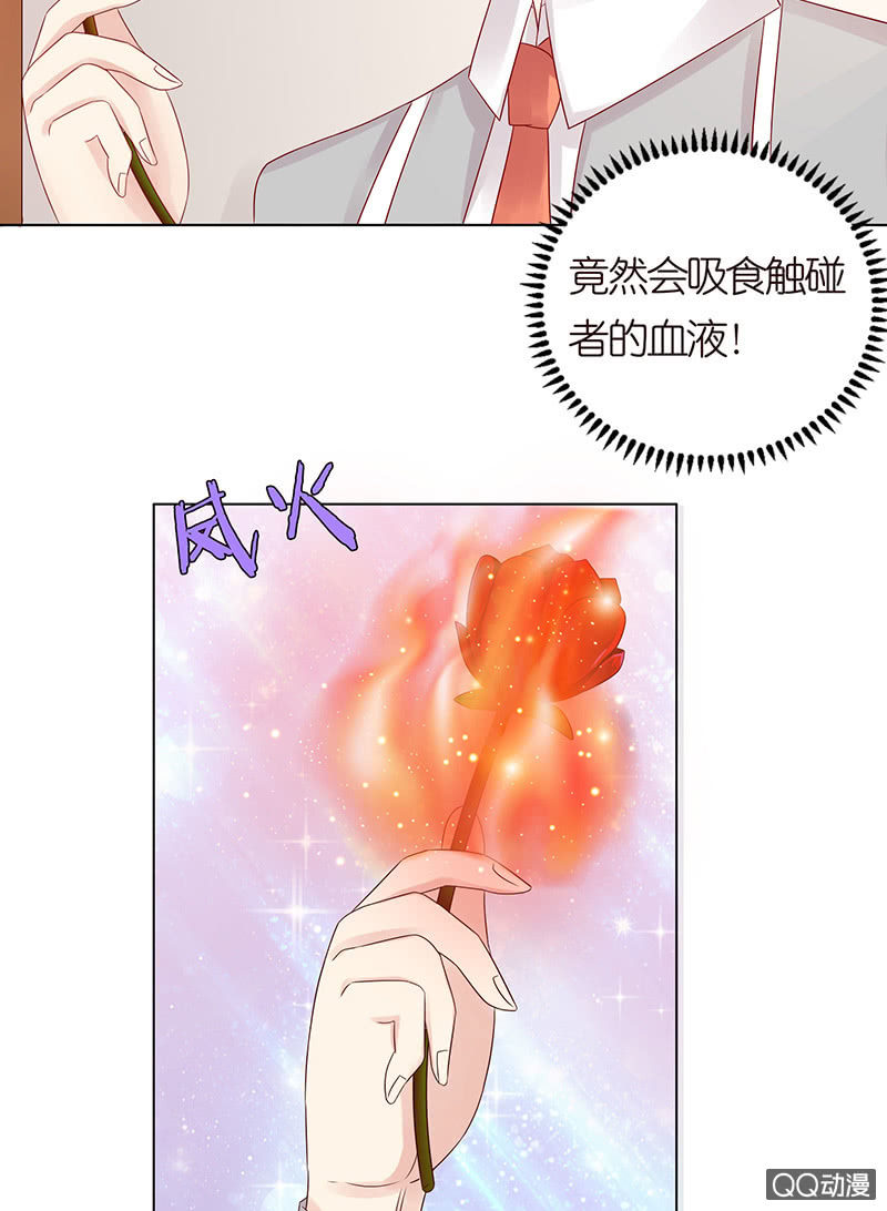 嗜血的玫瑰(1/2)-第65话