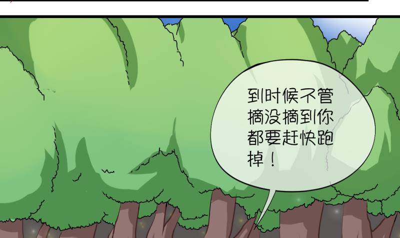 第12话 灵根是啥 能吃嘛？4-第13话