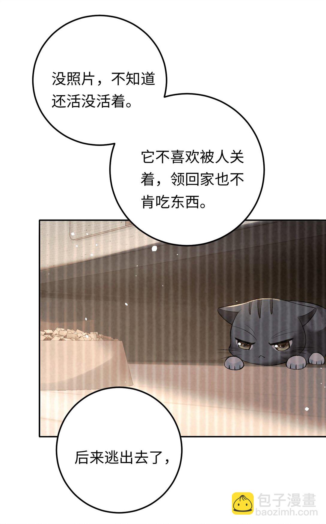 029 是我们一起埋了小黑-第29话