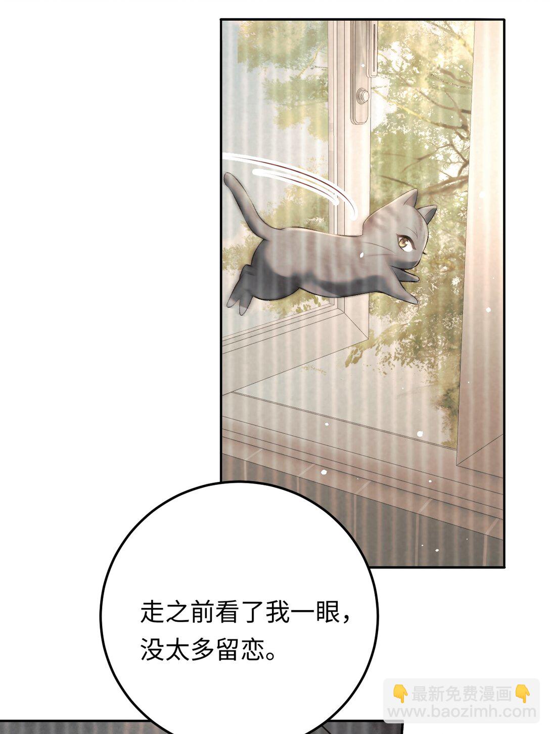 029 是我们一起埋了小黑-第29话