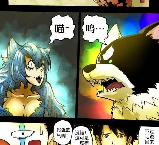第27话 当狗狗遇上猫-第27话