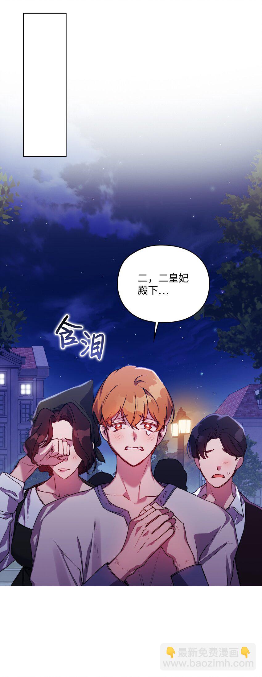 46 皇妃的决断(1/2)-第47话