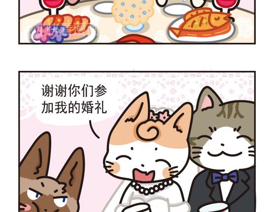 婚礼篇系列二-第13话
