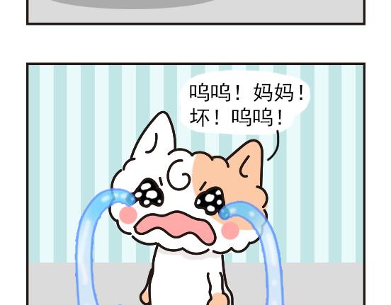 猫崽篇系列二-第19话