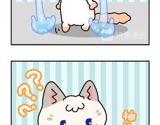 猫崽篇系列二-第19话