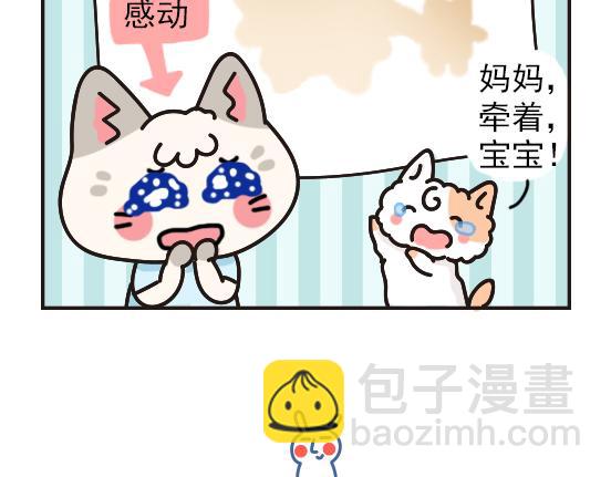猫崽篇系列二-第19话