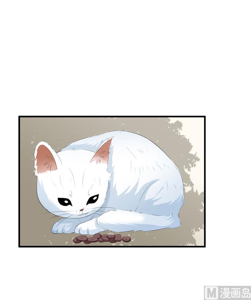 第53话 跟我联手吧-第53话