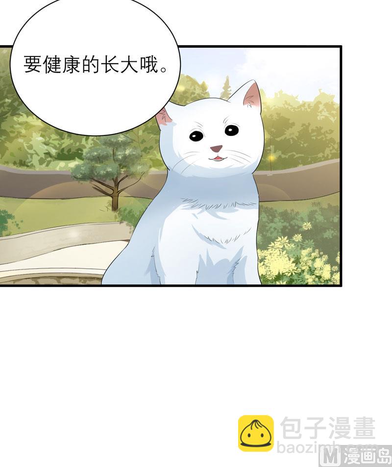 第53话 跟我联手吧-第53话