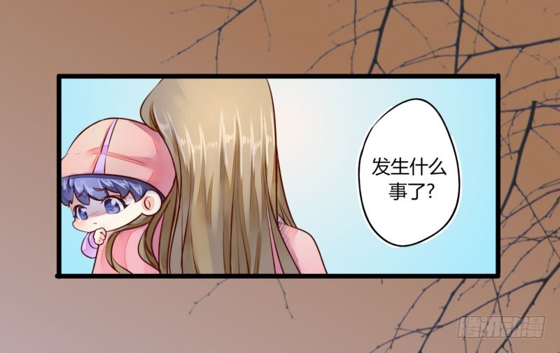 43 二少的未婚妻(1/2)-第43话