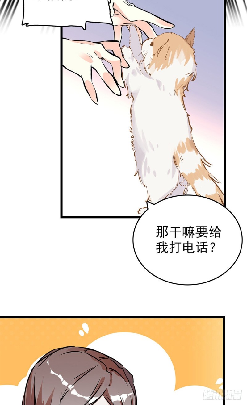 第50话 分手吧-第51话