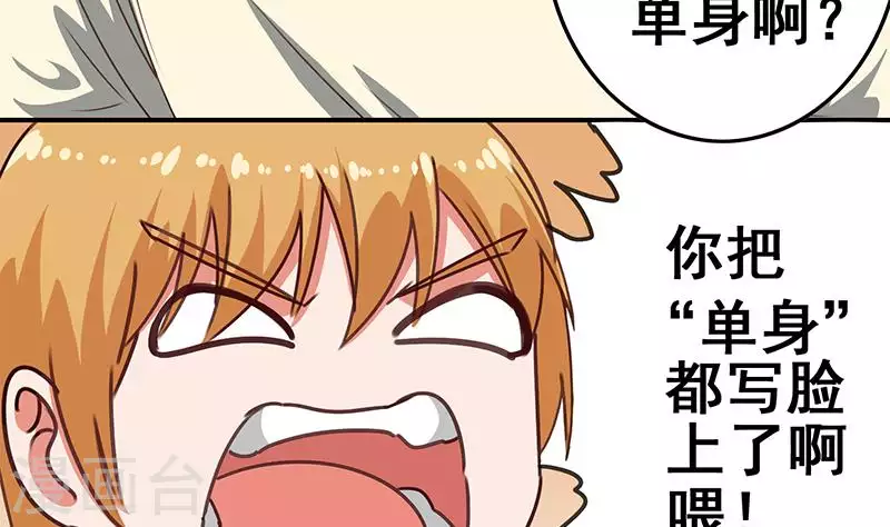 第37话 单身狗的忧伤(1/2)-第37话