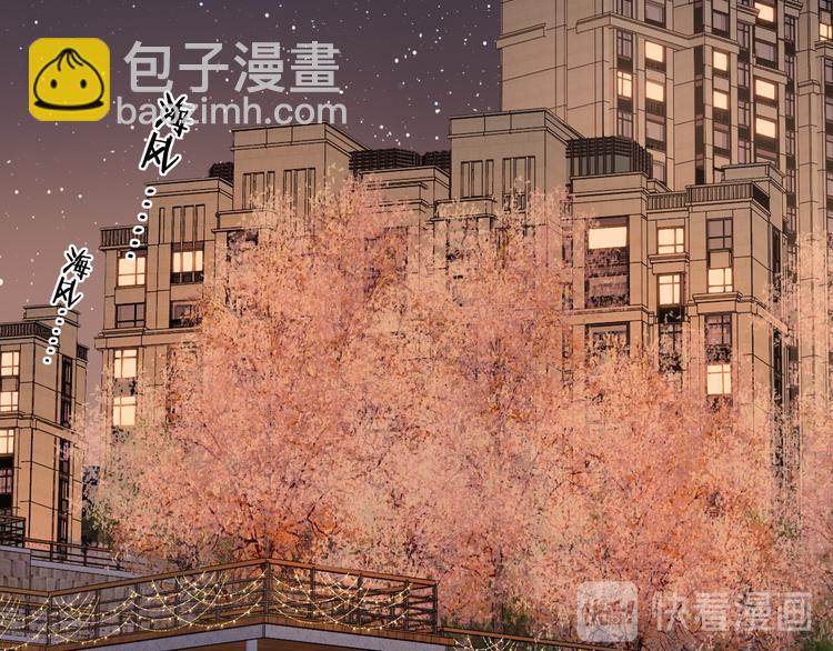 回忆篇：背后守护（五）(1/3)-第103话