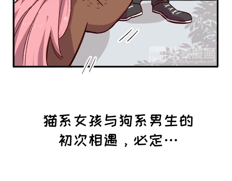 序章 狸猫女与哈士奇男世纪大战(1/2)-第1话
