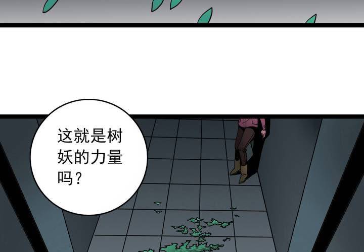 第三十七话   墓室的秘密(1/2)-第39话