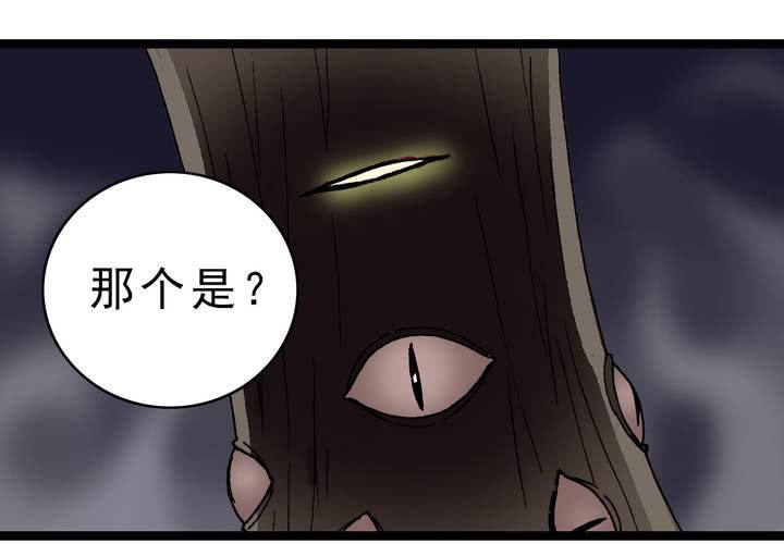第四十一话  七眼的树妖(1/2)-第45话