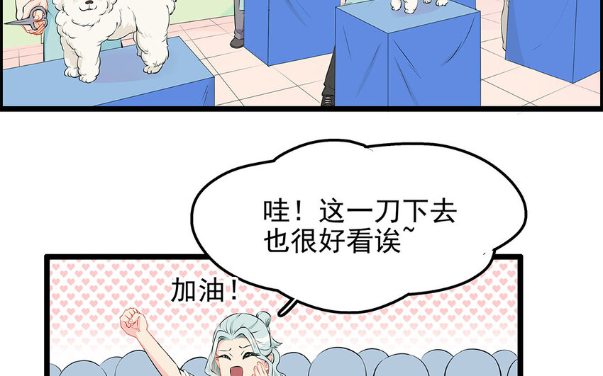 21 第22话 宠物博览会(1/2)-第21话
