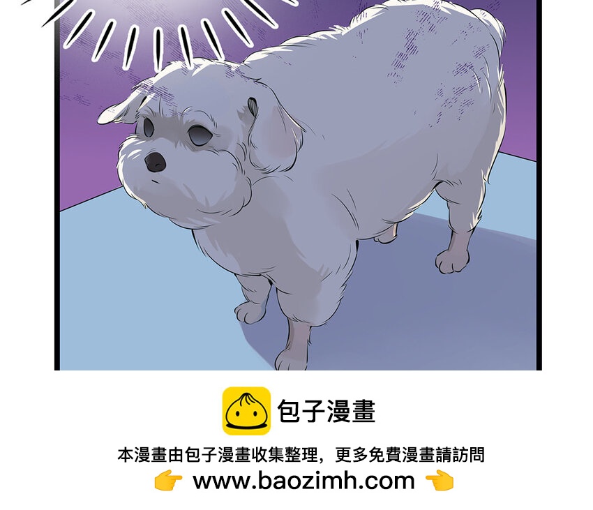 21 第22话 宠物博览会(1/2)-第21话