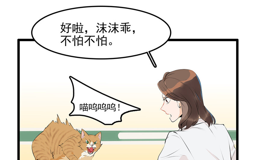 27 第28话 你虐待它？(1/2)-第27话