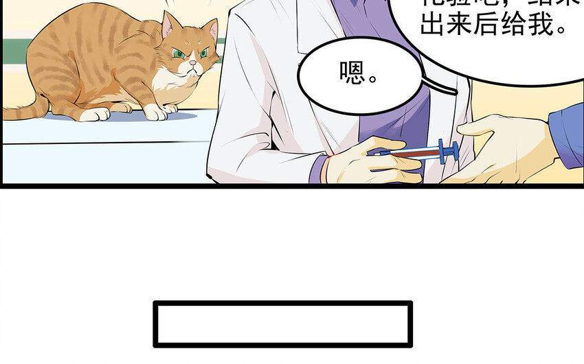 27 第28话 你虐待它？(1/2)-第27话