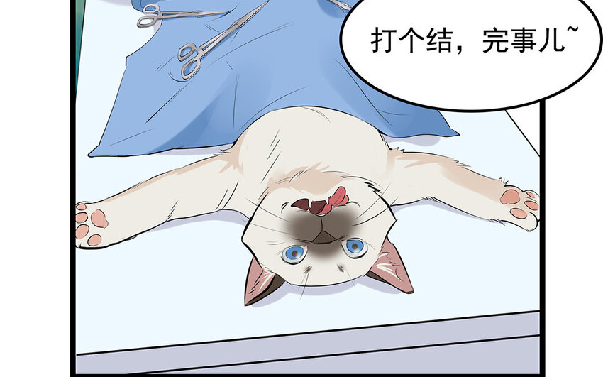 31 第32话 深明大义！(1/2)-第31话