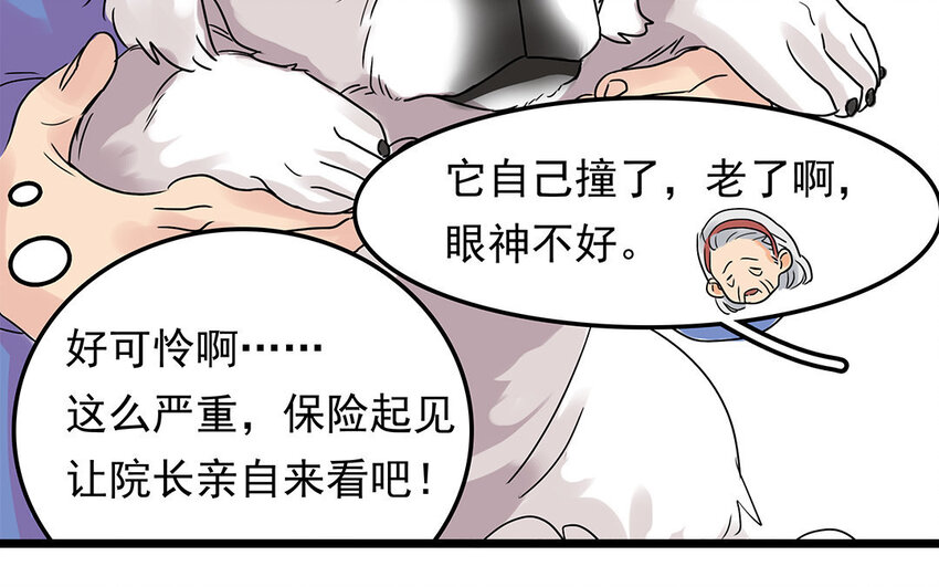 5 第6话 病危的京巴-第5话