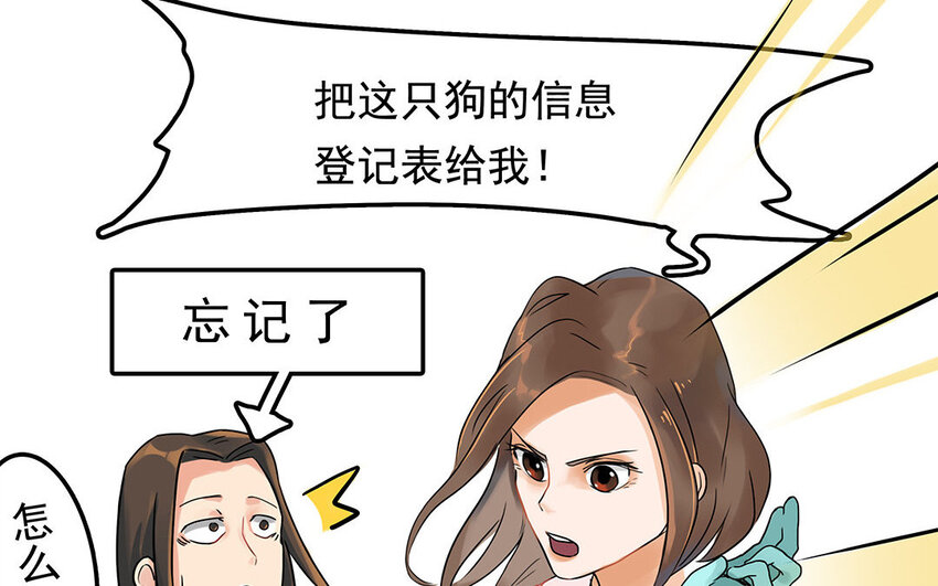 5 第6话 病危的京巴-第5话