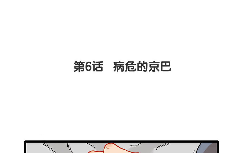 5 第6话 病危的京巴-第5话