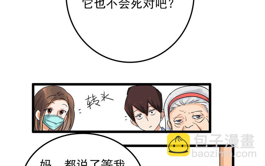 5 第6话 病危的京巴-第5话