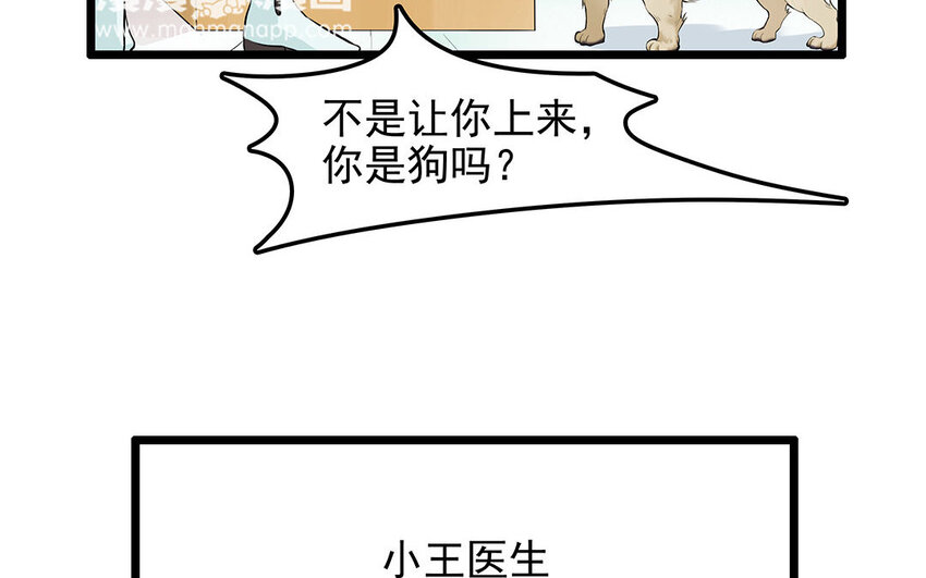 9 第10话 可爱的兽医-第9话