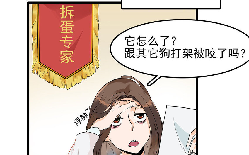 9 第10话 可爱的兽医-第9话