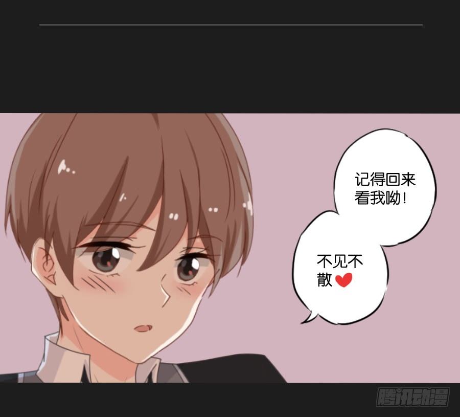 公告-第41话