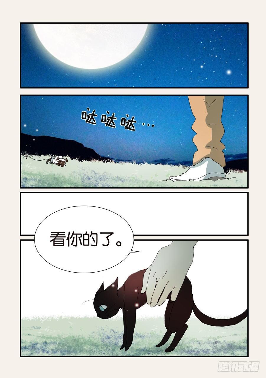 375结晶的碰撞-第375话