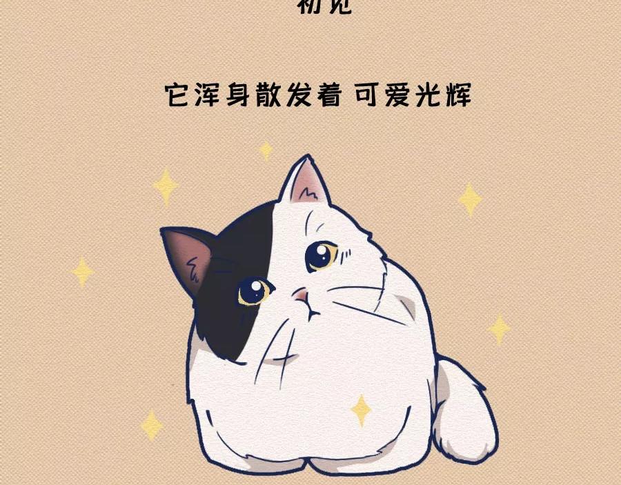 第17话：我们为什么沉迷撸猫？(1/2)-第17话