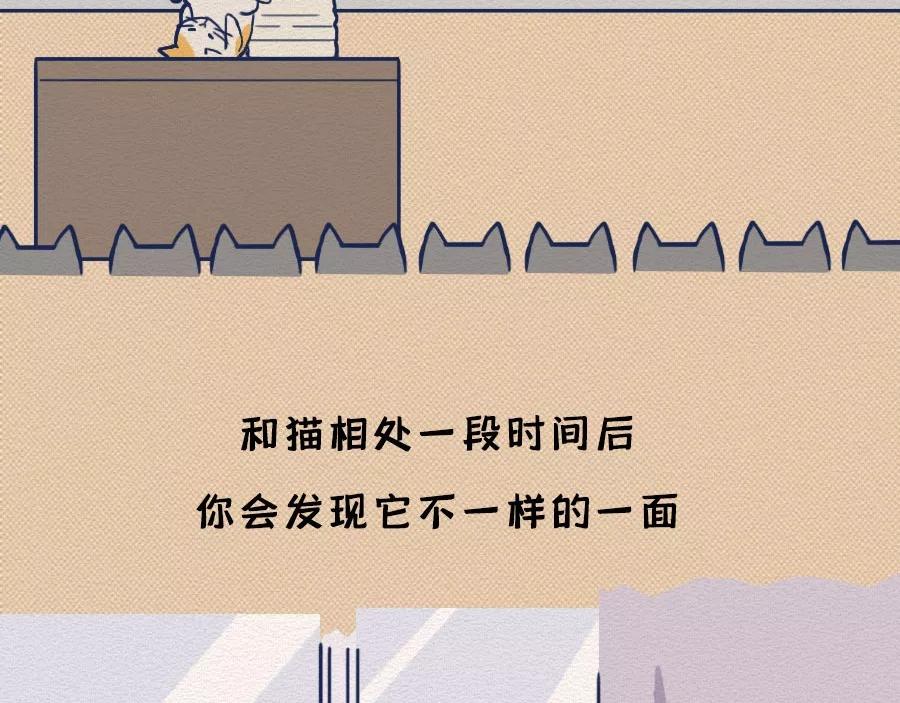 第17话：我们为什么沉迷撸猫？(1/2)-第17话