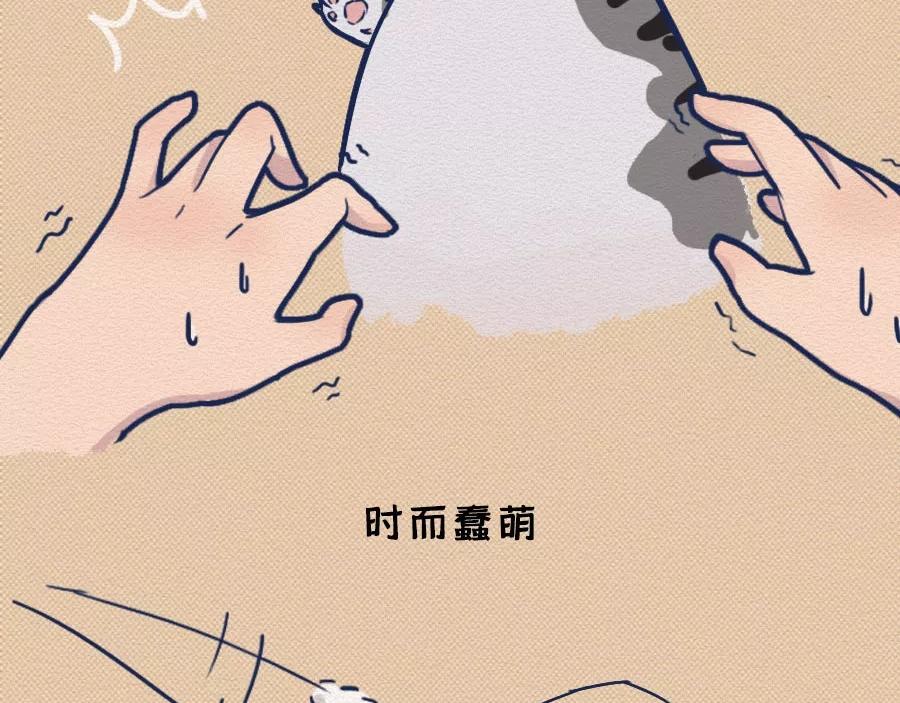 第17话：我们为什么沉迷撸猫？(1/2)-第17话