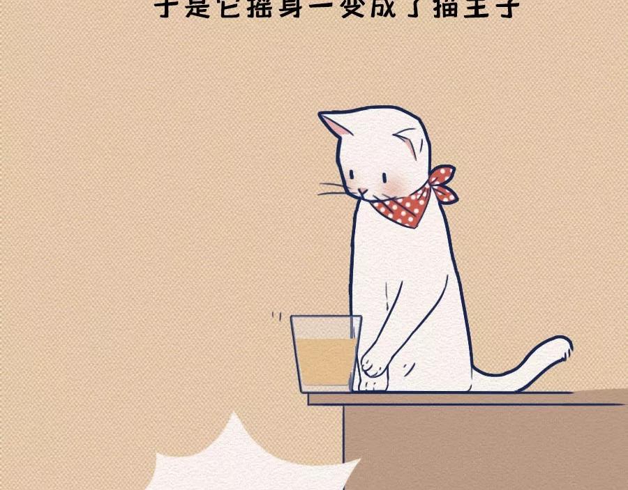 第17话：我们为什么沉迷撸猫？(1/2)-第17话