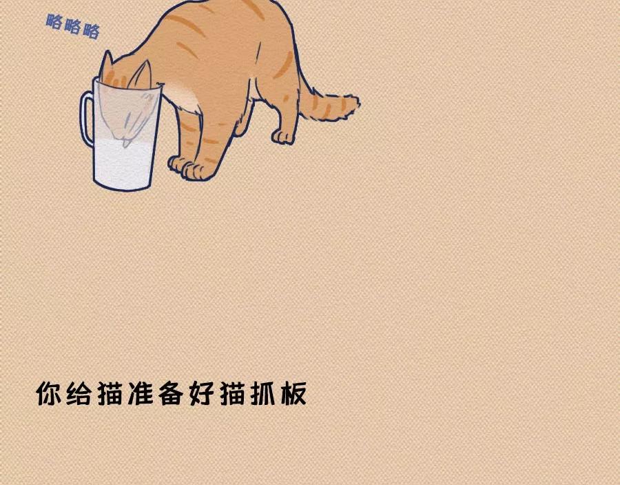 第17话：我们为什么沉迷撸猫？(1/2)-第17话