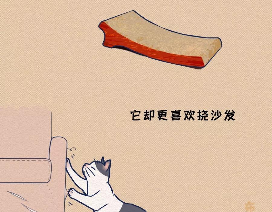第17话：我们为什么沉迷撸猫？(1/2)-第17话