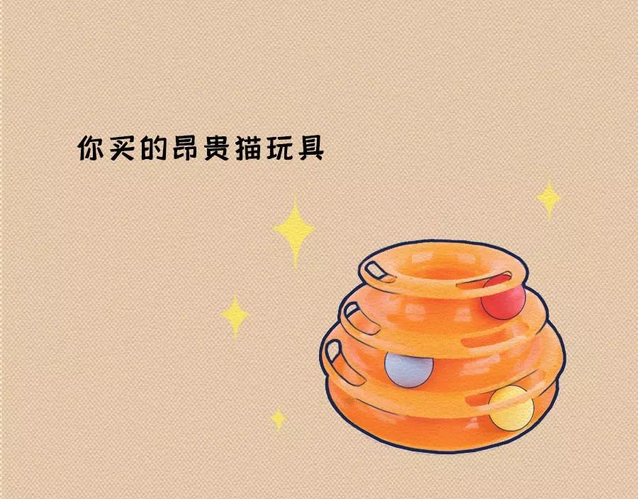 第17话：我们为什么沉迷撸猫？(1/2)-第17话