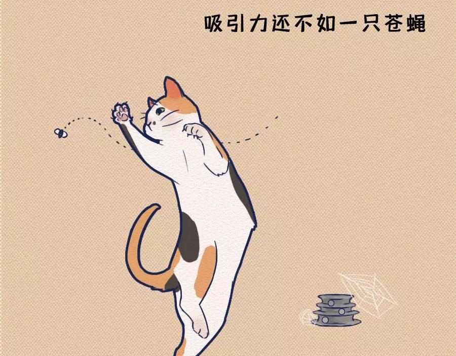 第17话：我们为什么沉迷撸猫？(1/2)-第17话